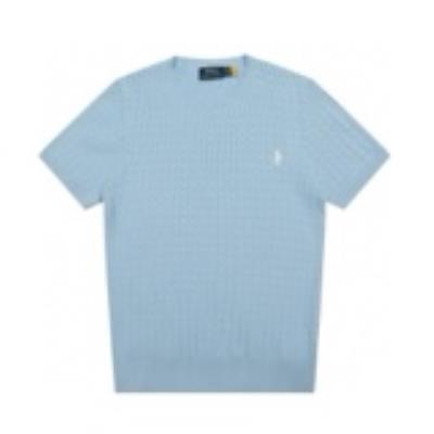 cheap quality Men Ralph Lauren Polo Shirts Model No. 2800